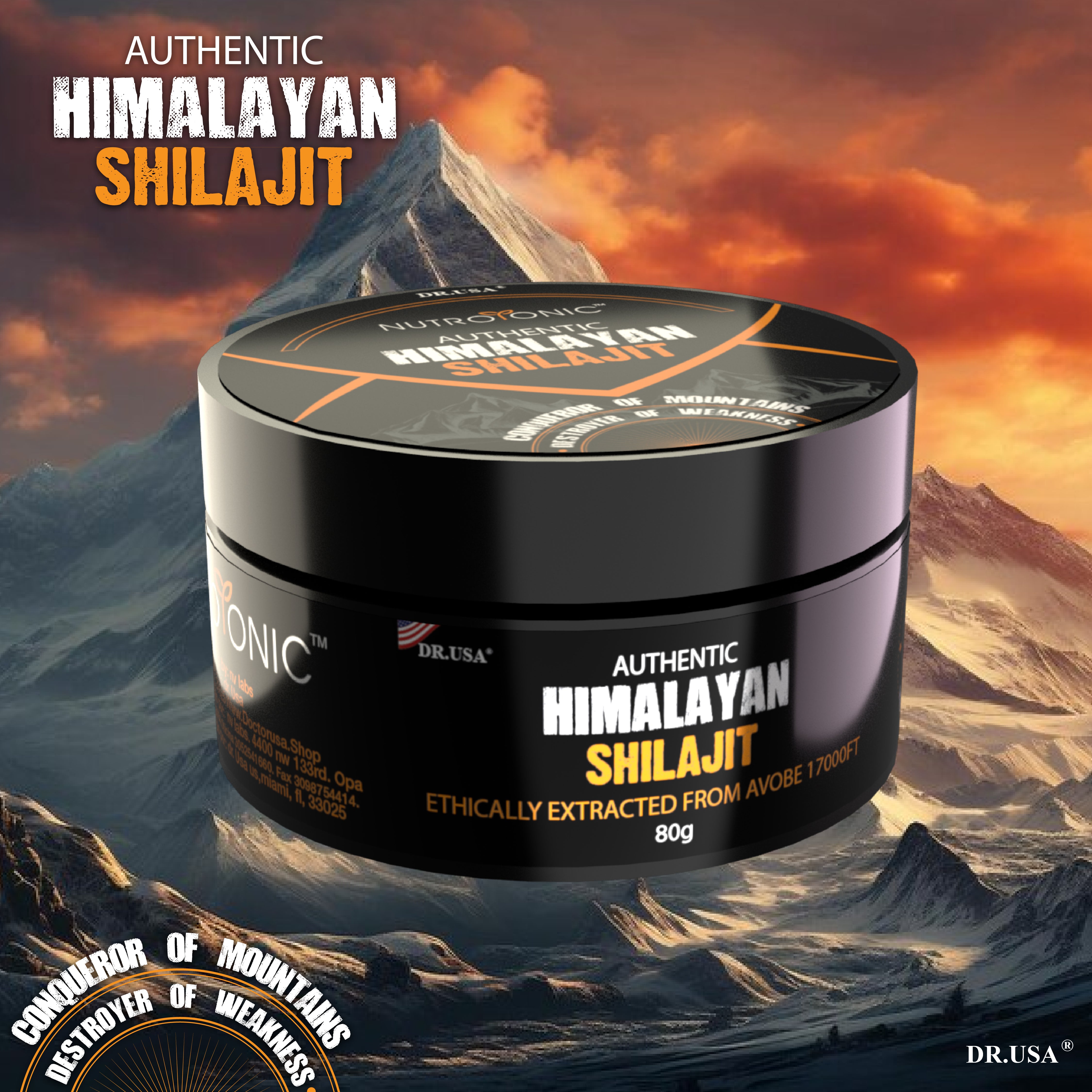 RESINA SHILAJIT ORIGINAL HIMALAYA + ENVIO GRATIS 🚚